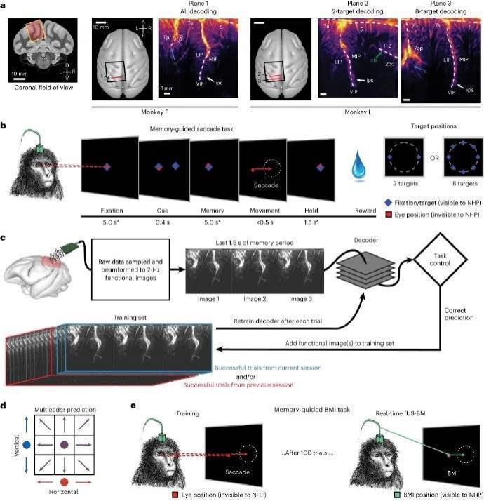 佛教徒陈天桥，赚钱养“脑”