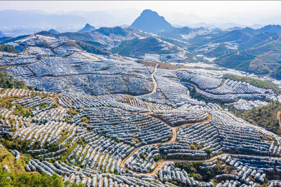 中国最不好惹的省，怎么成甜妹了？！