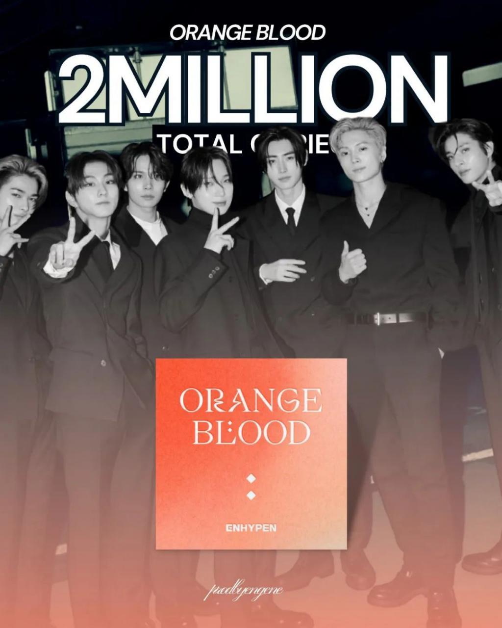 啊，他们怎么又道歉了？！