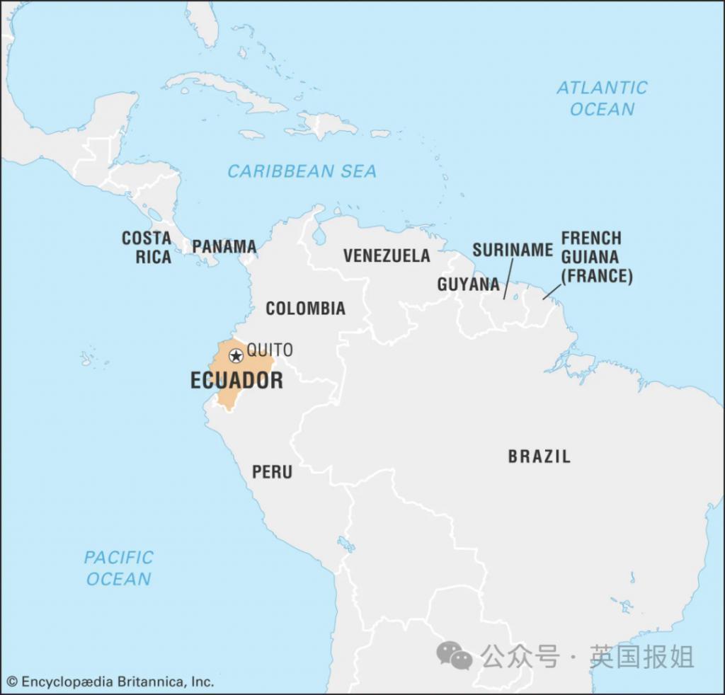 南美一国家进入战争状态！大毒枭越狱，电视台直播恐怖杀戮现场