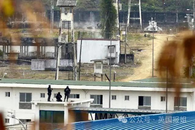 南美一国家进入战争状态！大毒枭越狱，电视台直播恐怖杀戮现场