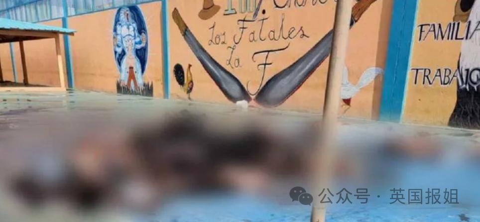 南美一国家进入战争状态！大毒枭越狱，电视台直播恐怖杀戮现场