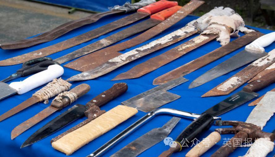 南美一国家进入战争状态！大毒枭越狱，电视台直播恐怖杀戮现场