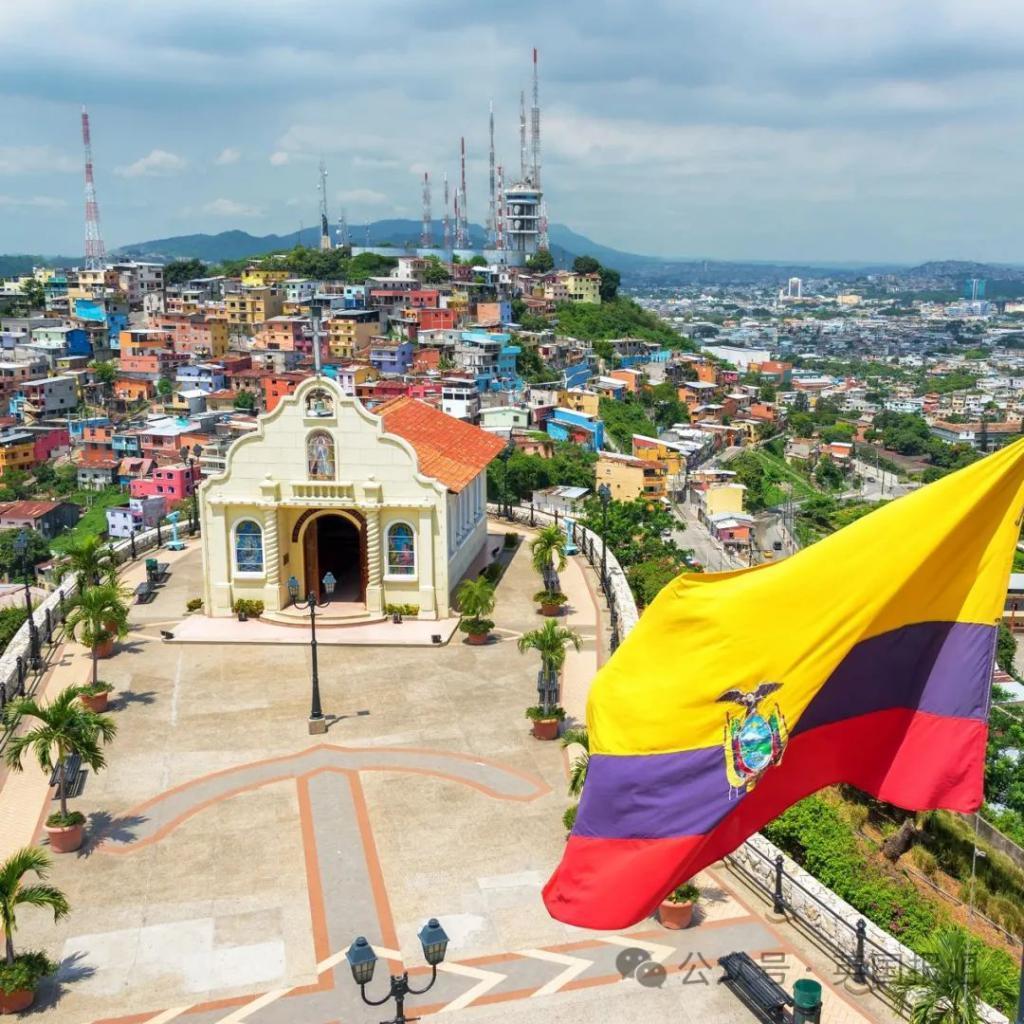 南美一国家进入战争状态！大毒枭越狱，电视台直播恐怖杀戮现场