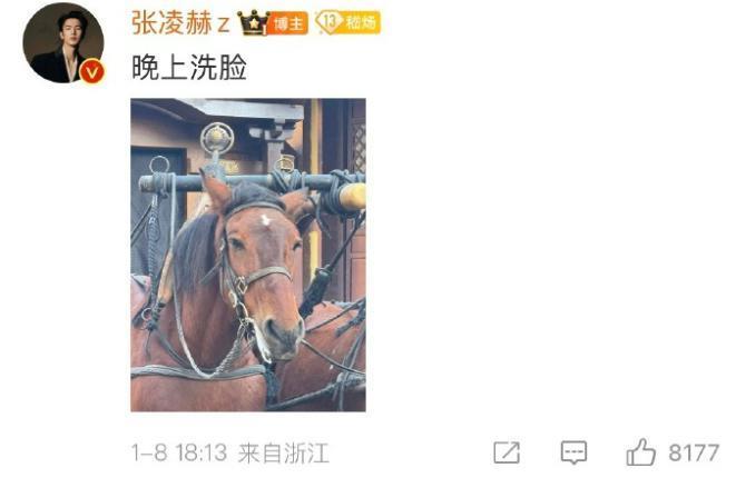 他怎么又帅又好玩啊！