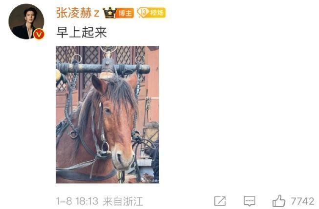 他怎么又帅又好玩啊！