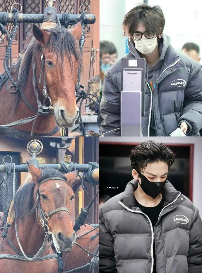 他怎么又帅又好玩啊！