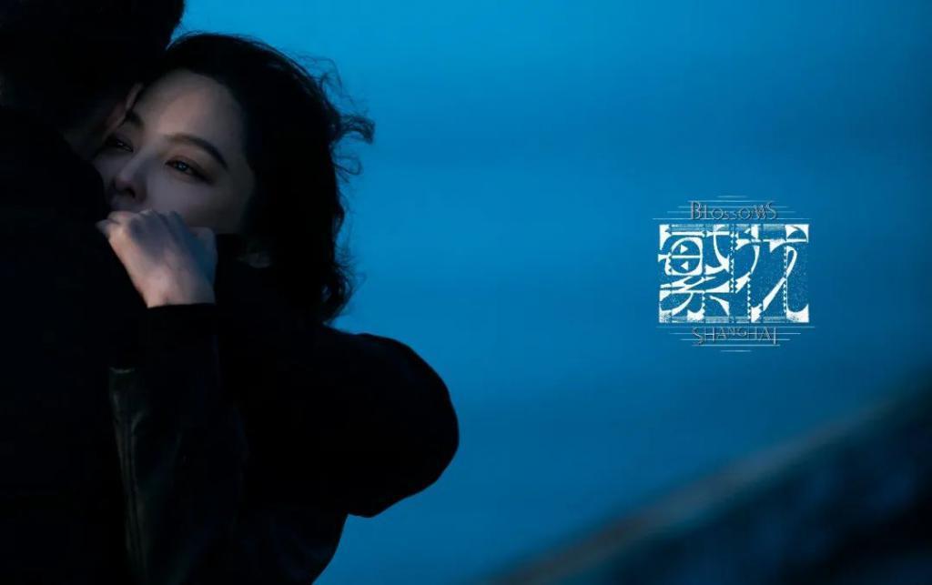 “美貌”与“演技”的双重认可，辛芷蕾是“天选李李”？