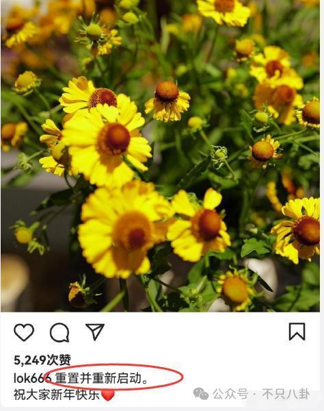 他们被曝离婚了？倒也不意外？