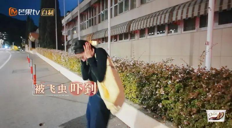 迪丽热巴的迷惑大赏