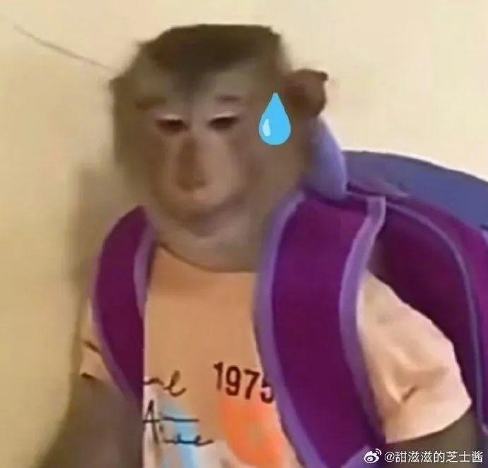 迪丽热巴的迷惑大赏