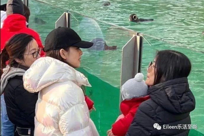 奶茶妹妹身家六百亿？生完二胎她又如何打进顶级名媛圈？