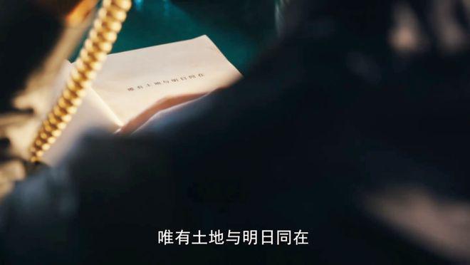 解开王家卫留下的7个“谜语”后,我断言:这剧会破9分