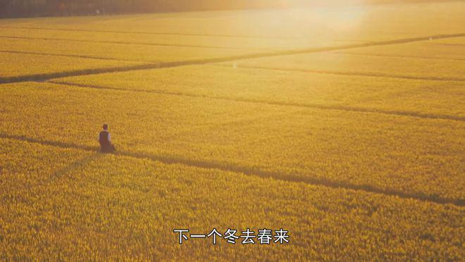 解开王家卫留下的7个“谜语”后,我断言:这剧会破9分