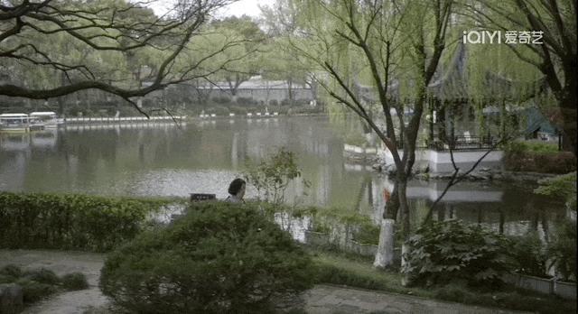 破碎的女星，终于被人骂到翻盘
