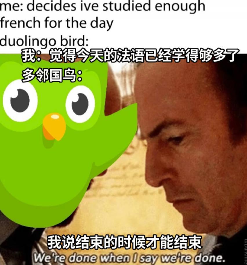 一个语言学习软件，成为了年轻人日思夜想的电子宠物。