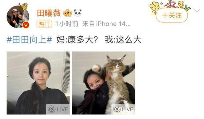 女星微博之夜送礼翻车！送三块钱粘毛器被指抠门