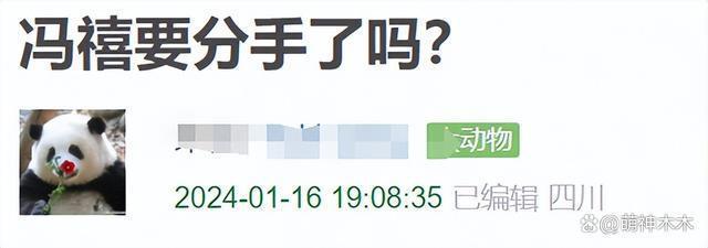 许嵩冯禧被曝分手！疑似与张靓颖炒CP惹怒女方