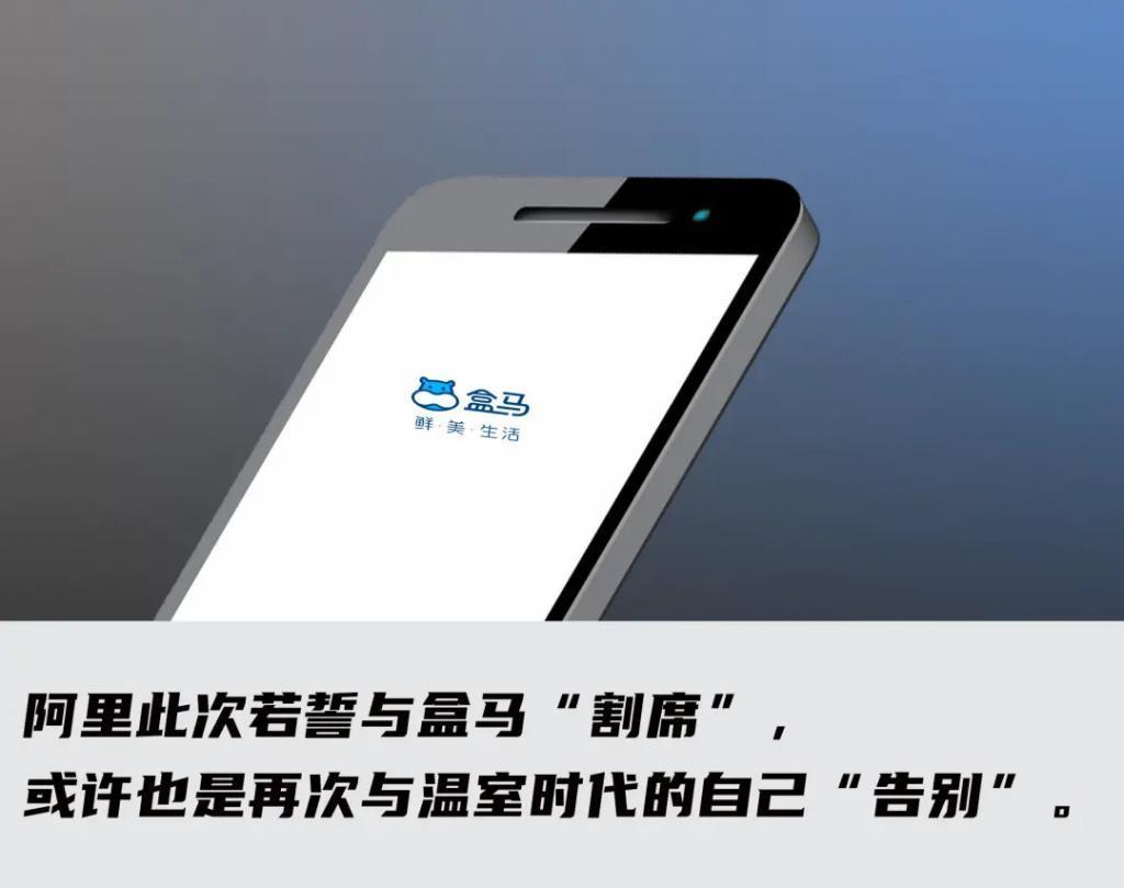 阿里留给盒马的时间不多了