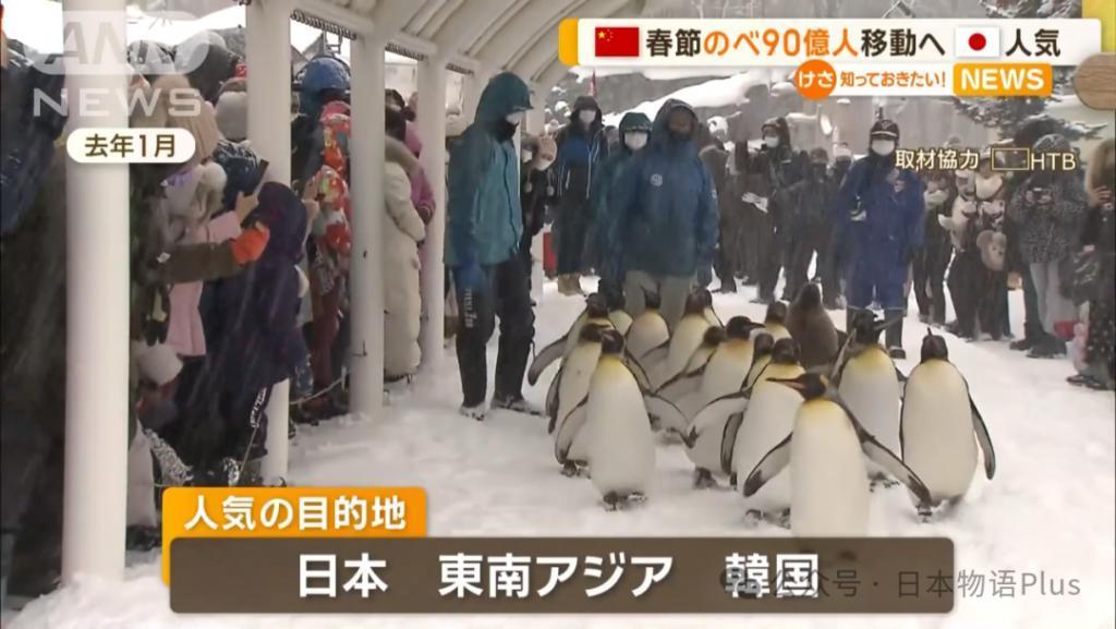 日媒报道:中国春节有90亿人次流动,日本成为中国游客热门旅游目的地