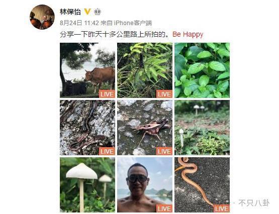 比起婚讯，大家更想知道他啥时有新作品吧？！
