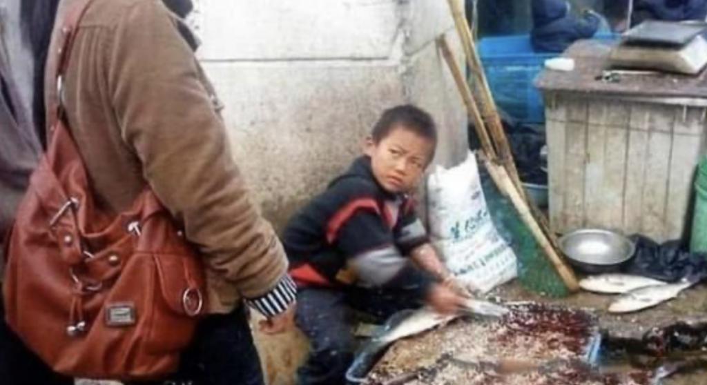 “挖呀挖“桃子老师爆火之后精神异常：浮云转瞬就散了…