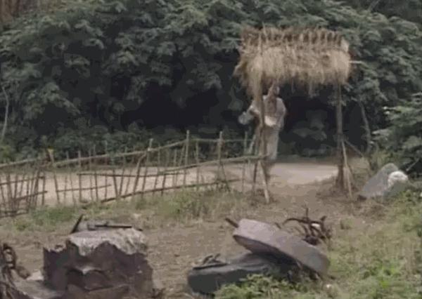 游本昌:为了一个剧本卖了一套房子!