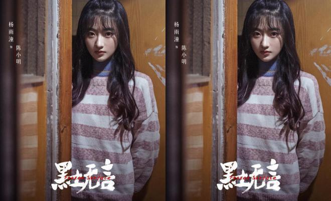 《黑土无言》1个主谋，2个杀手3个内鬼，8宗案件13条人命