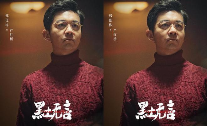 《黑土无言》1个主谋，2个杀手3个内鬼，8宗案件13条人命