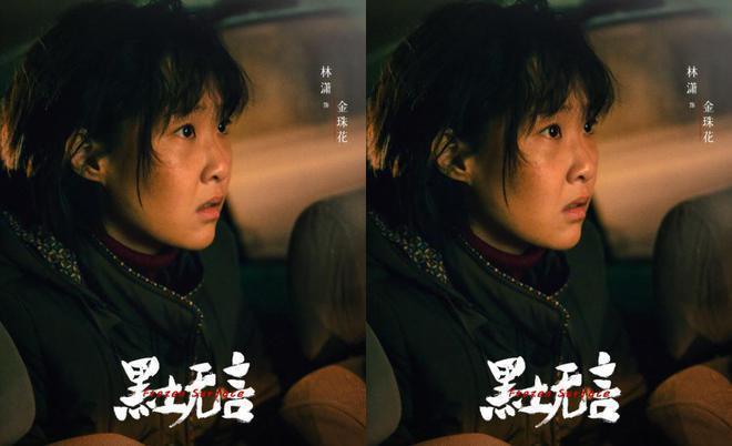 《黑土无言》1个主谋，2个杀手3个内鬼，8宗案件13条人命