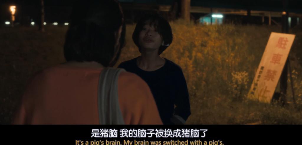 禁忌神作，尺度拉满！开年最佳，全网爆哭
