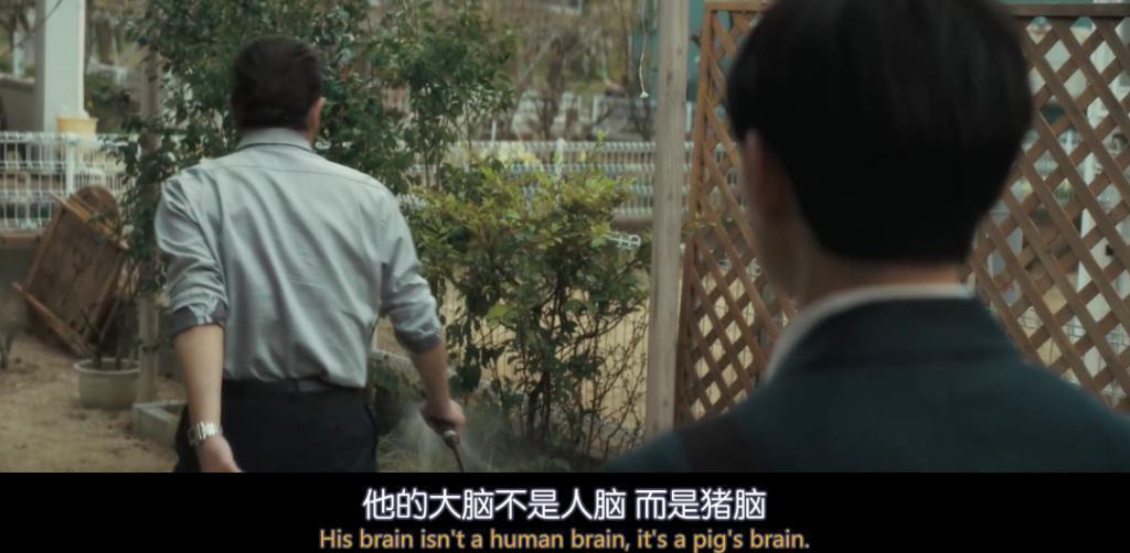 禁忌神作，尺度拉满！开年最佳，全网爆哭