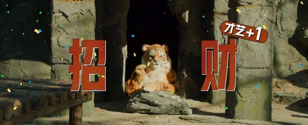 包贝尔新片，烂得没眼看！