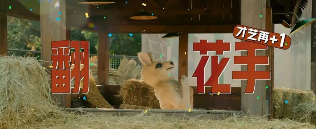 包贝尔新片，烂得没眼看！