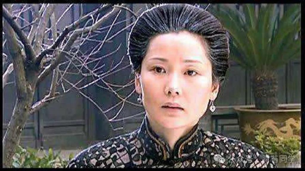 ​《大宅门》原著：杨九红与灵仁寺和尚对谈一夜，说了什么？