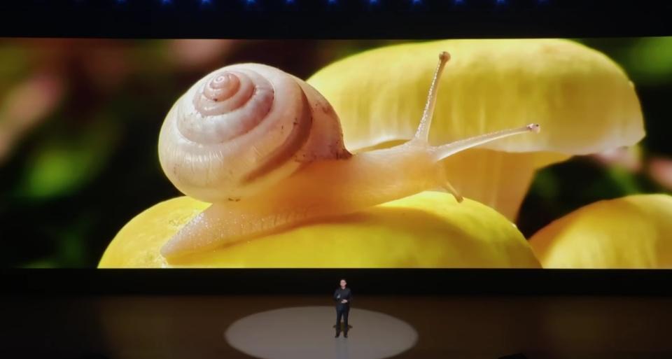 史上首次！苹果成为全球手机一哥，带动安卓机皇们卷疯了潜望镜头