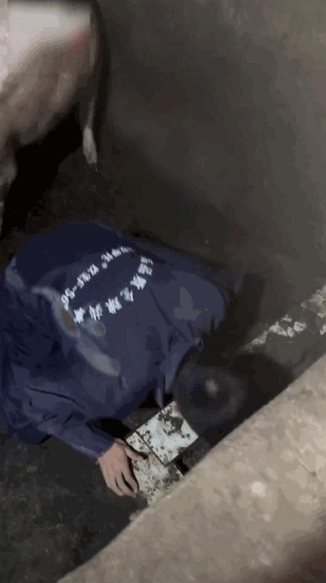 这些突然爆火的网红，都被抓进去了