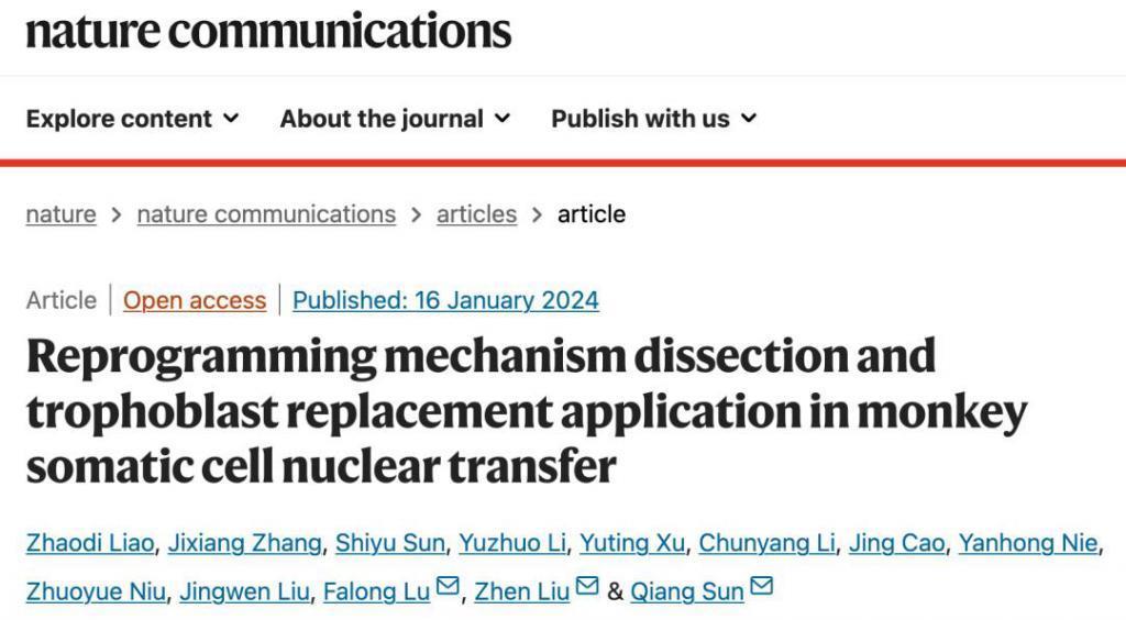 中国科学家克隆猴技术取得突破，存活时间首次超过两年