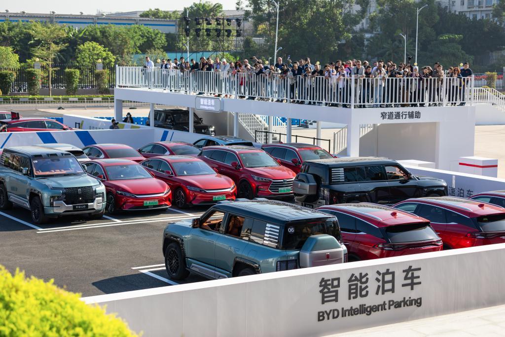 比亚迪的对手，或许只有自己