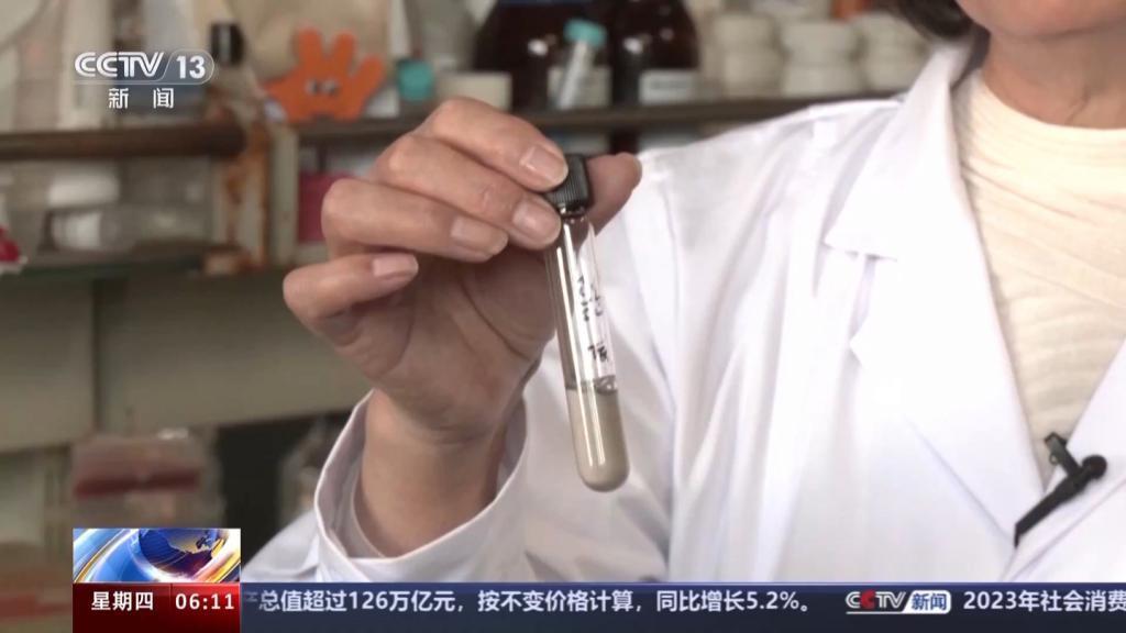 探寻外星生命：中国空间站将开展地外生态系统模拟实验