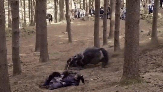 《李芳远》虐马折脖致死判决出炉！工作人员、KBS有罪