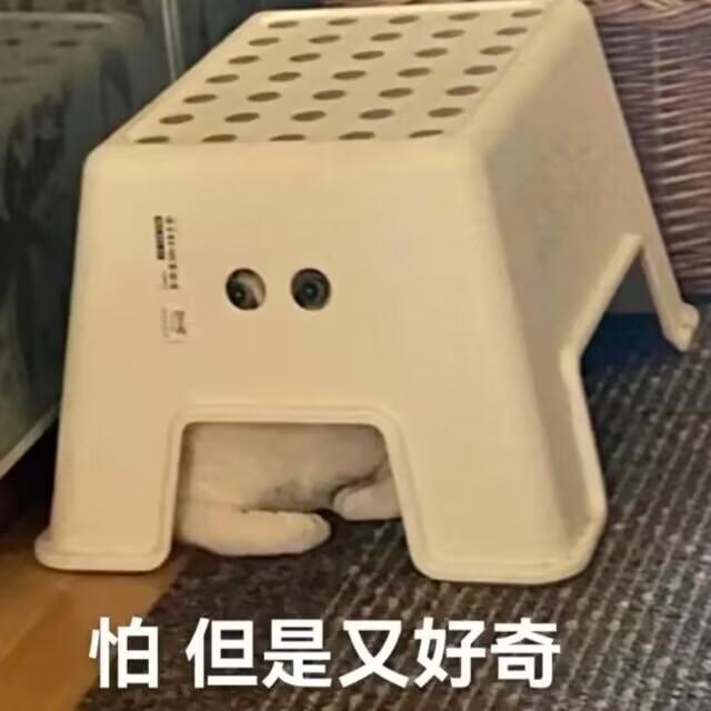 微信神功能上线，一键省出30G空间