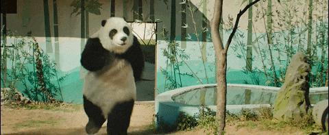 开年第一国产烂片，太侮辱人了