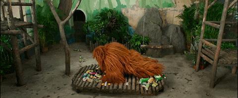 开年第一国产烂片，太侮辱人了