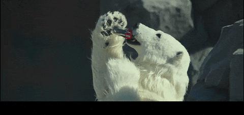 开年第一国产烂片，太侮辱人了