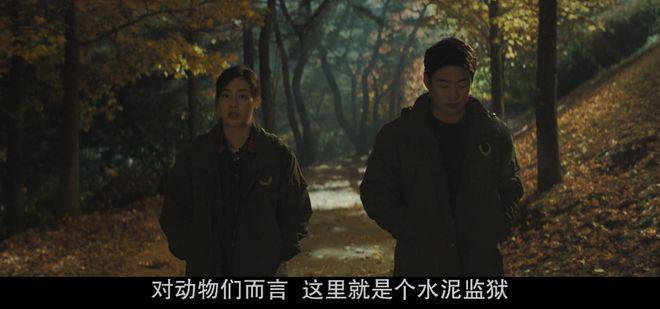 开年第一国产烂片，太侮辱人了