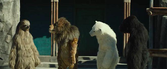 开年第一国产烂片，太侮辱人了