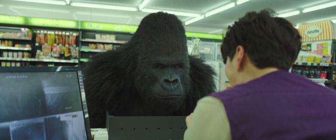 开年第一国产烂片，太侮辱人了