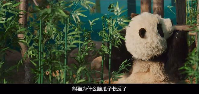 开年第一国产烂片，太侮辱人了