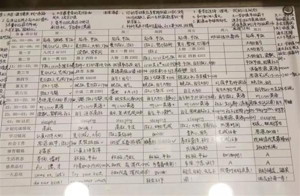 曾以最牛学习计划表火遍全网 清华特奖、双胞胎姐妹双双回国任教